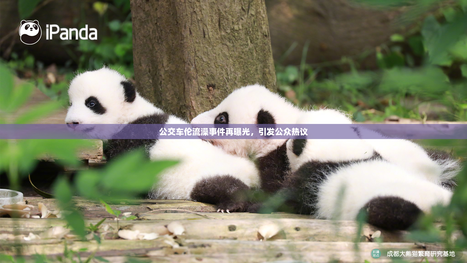 公交车伦流澡事件再曝光，引发公众热议