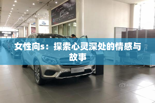 女性向s：探索心灵深处的情感与故事