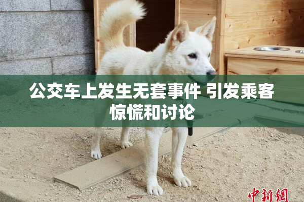 公交车上发生无套事件 引发乘客惊慌和讨论
