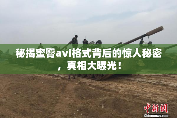 秘揭蜜臀avi格式背后的惊人秘密，真相大曝光！