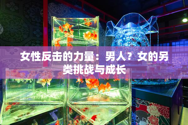 女性反击的力量：男人？女的另类挑战与成长