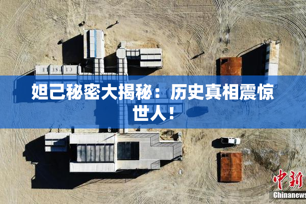 妲己秘密大揭秘：历史真相震惊世人！