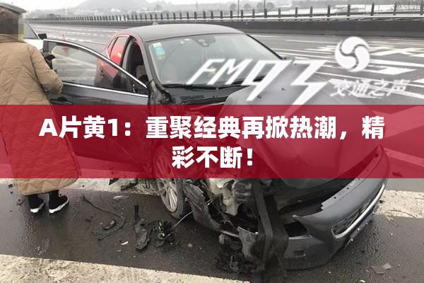 A片黄1：重聚经典再掀热潮，精彩不断！