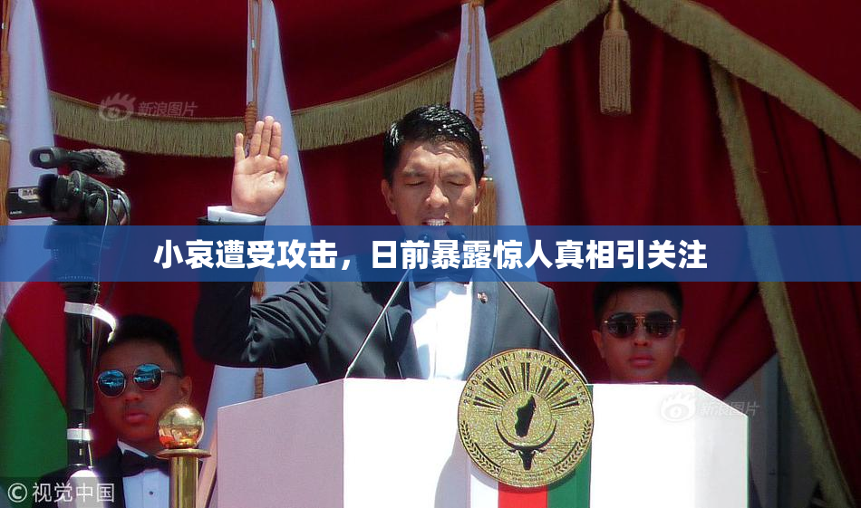 小哀遭受攻击，日前暴露惊人真相引关注