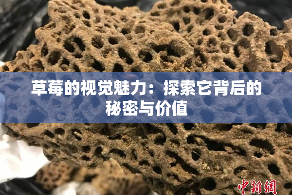 草莓的视觉魅力：探索它背后的秘密与价值