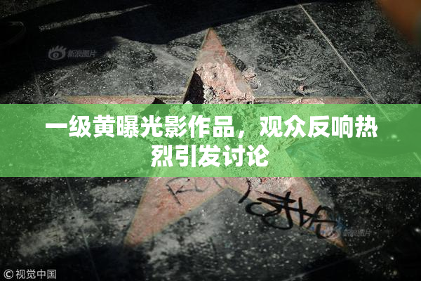 一级黄曝光影作品，观众反响热烈引发讨论