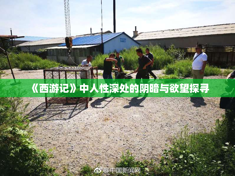 《西游记》中人性深处的阴暗与欲望探寻