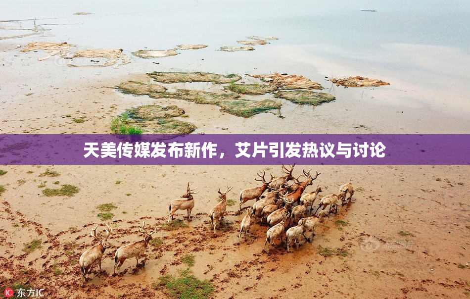 天美传媒发布新作，艾片引发热议与讨论