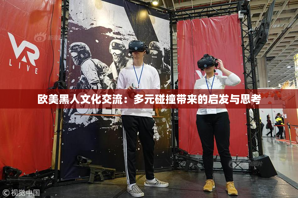 欧美黑人文化交流：多元碰撞带来的启发与思考