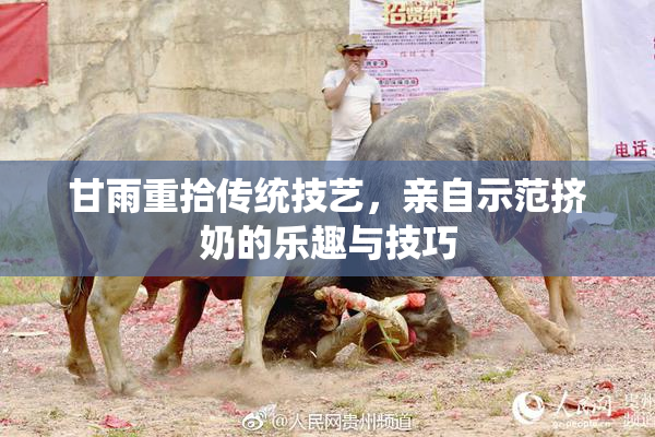 甘雨重拾传统技艺，亲自示范挤奶的乐趣与技巧