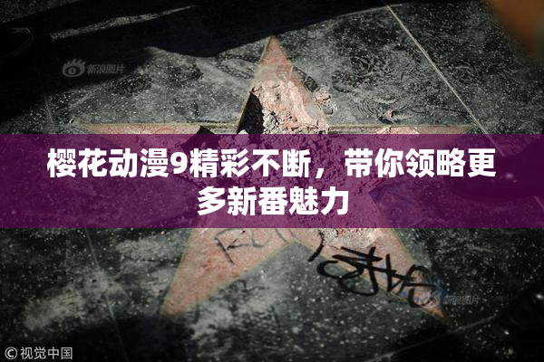 樱花动漫9精彩不断，带你领略更多新番魅力