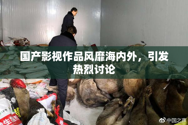 国产影视作品风靡海内外，引发热烈讨论