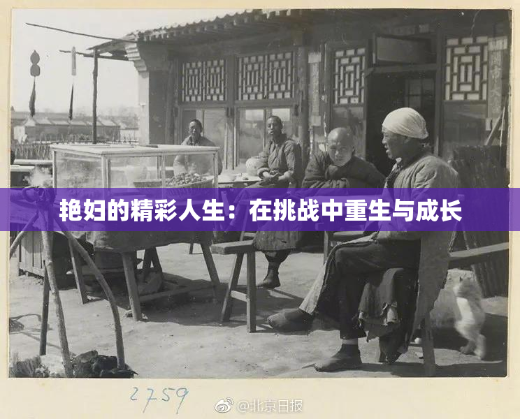 艳妇的精彩人生：在挑战中重生与成长