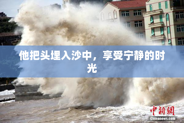 他把头埋入沙中，享受宁静的时光