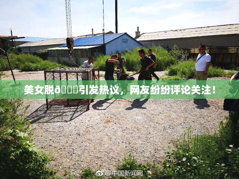 美女脱👙引发热议，网友纷纷评论关注！
