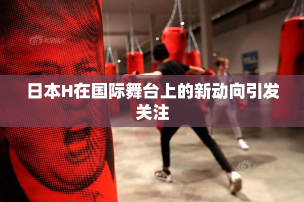日本H在国际舞台上的新动向引发关注