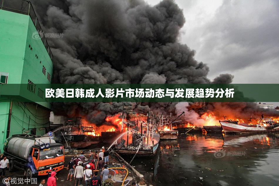 欧美日韩成人影片市场动态与发展趋势分析