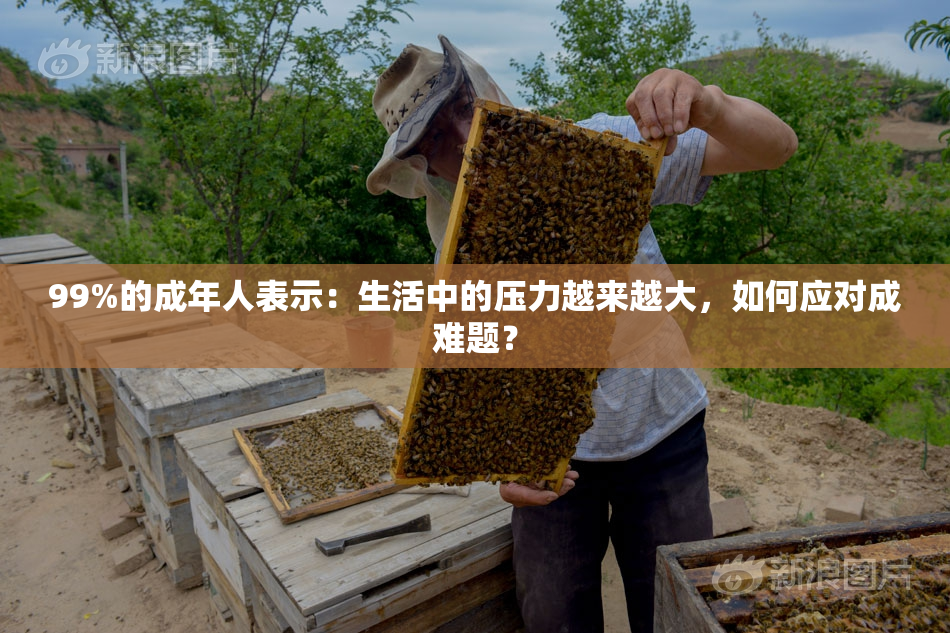 99%的成年人表示：生活中的压力越来越大，如何应对成难题？