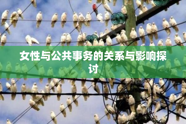 女性与公共事务的关系与影响探讨