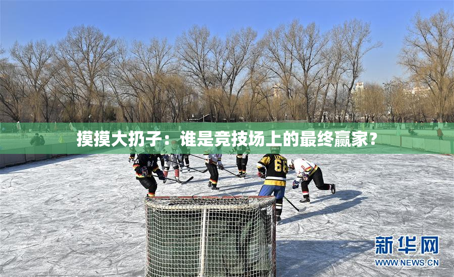 摸摸大扔子：谁是竞技场上的最终赢家？