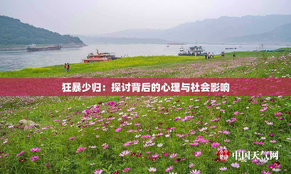 狂暴少归：探讨背后的心理与社会影响