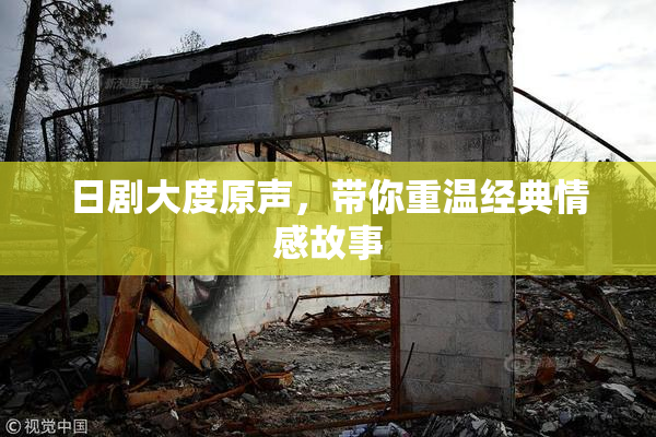 日剧大度原声，带你重温经典情感故事