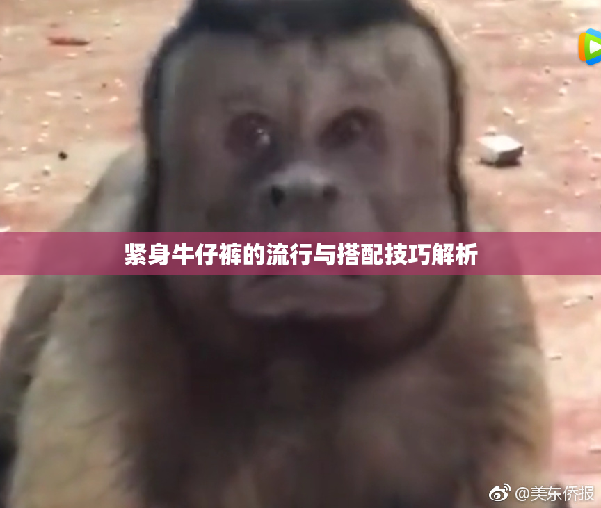 紧身牛仔裤的流行与搭配技巧解析