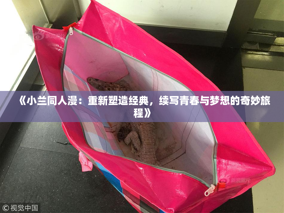 《小兰同人漫：重新塑造经典，续写青春与梦想的奇妙旅程》