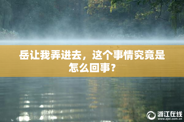 岳让我弄进去，这个事情究竟是怎么回事？