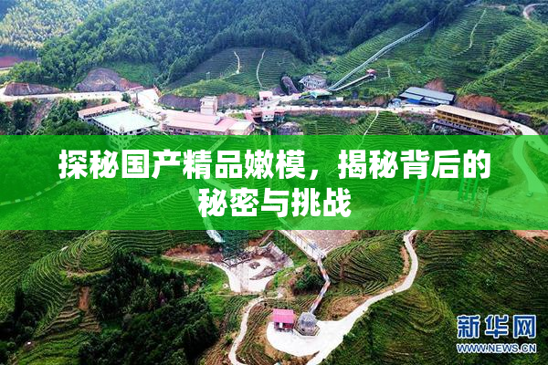 探秘国产精品嫩模，揭秘背后的秘密与挑战