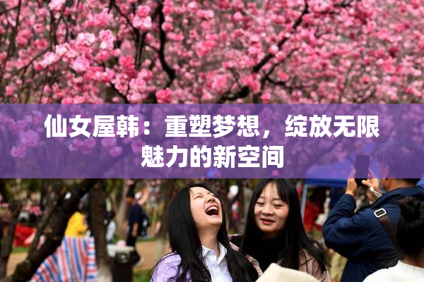 仙女屋韩：重塑梦想，绽放无限魅力的新空间