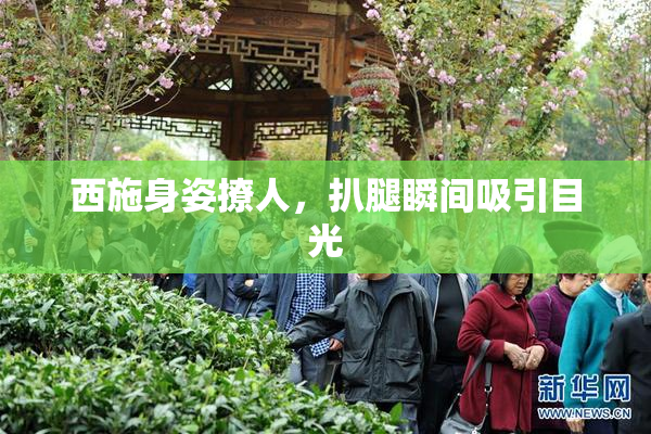西施身姿撩人，扒腿瞬间吸引目光