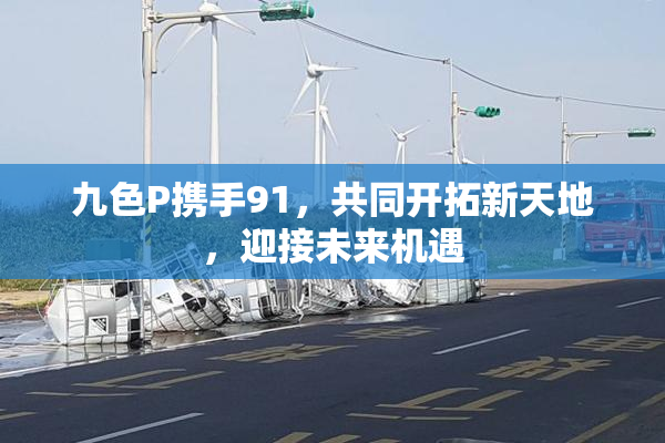 九色P携手91，共同开拓新天地，迎接未来机遇