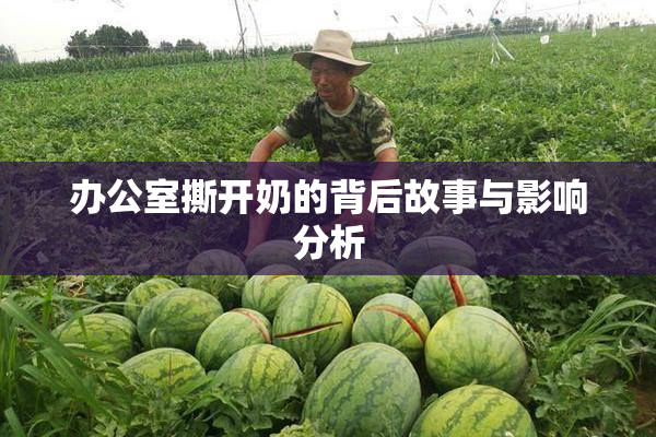 办公室撕开奶的背后故事与影响分析