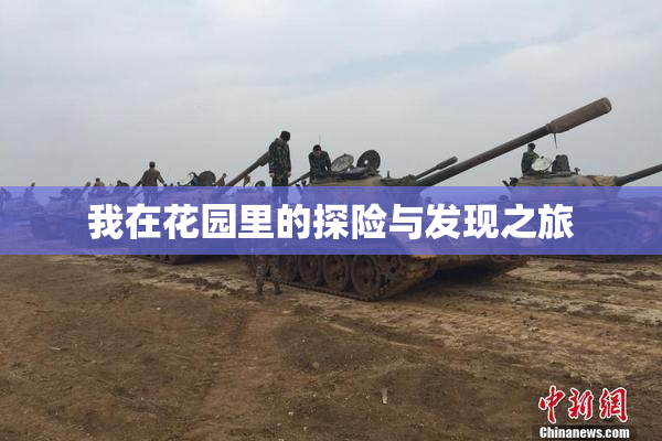 我在花园里的探险与发现之旅