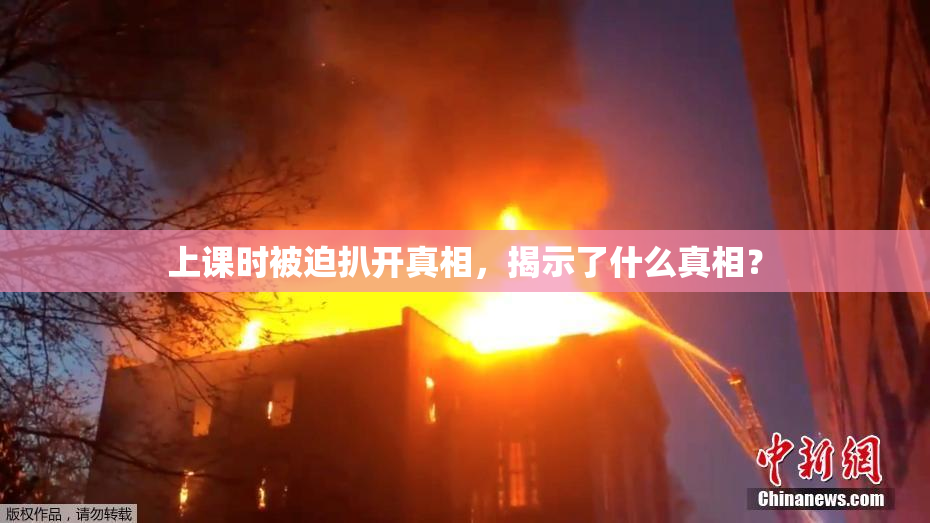 上课时被迫扒开真相，揭示了什么真相？