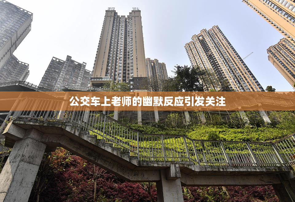 公交车上老师的幽默反应引发关注