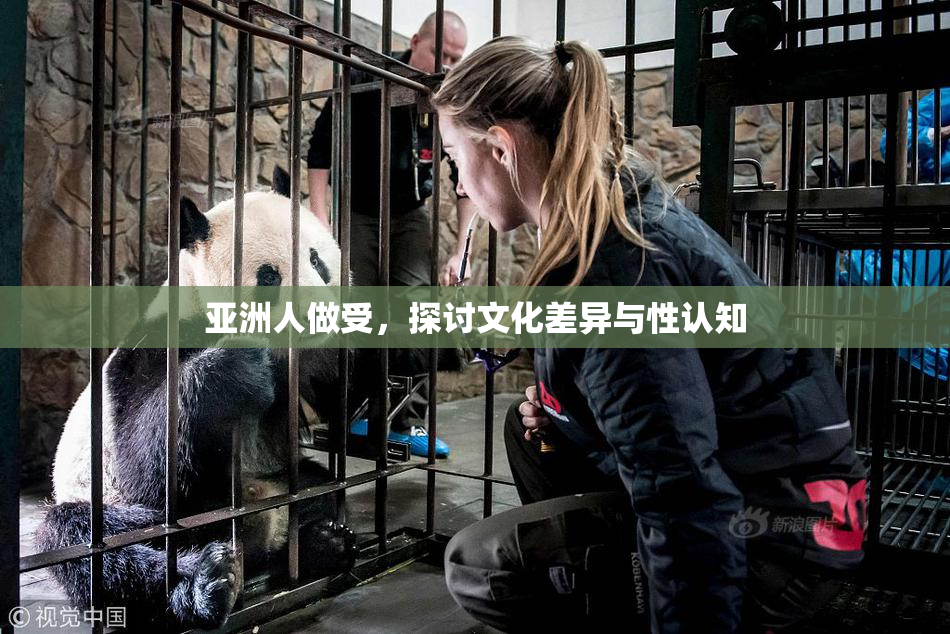 亚洲人做受，探讨文化差异与性认知