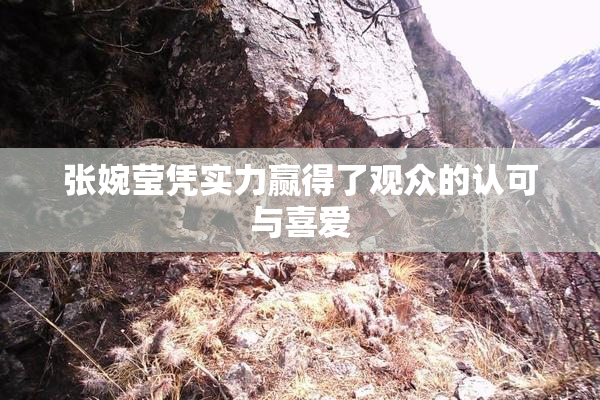 张婉莹凭实力赢得了观众的认可与喜爱