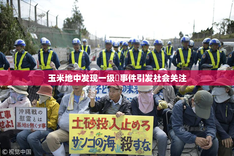 玉米地中发现一级婬事件引发社会关注