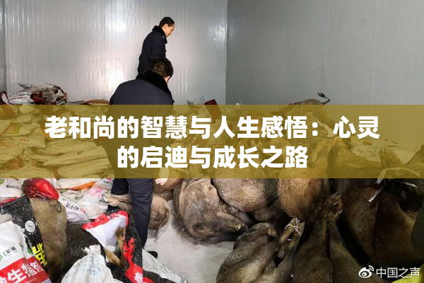 老和尚的智慧与人生感悟：心灵的启迪与成长之路
