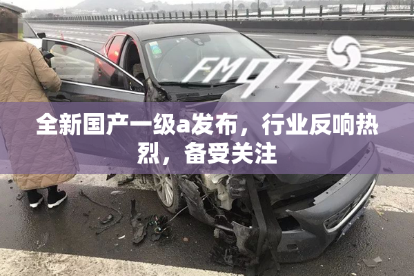 全新国产一级a发布，行业反响热烈，备受关注