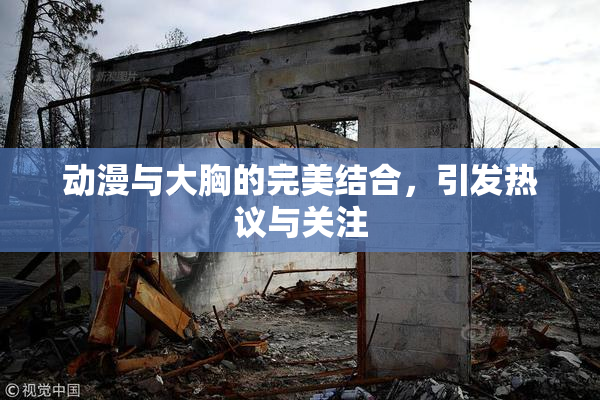 动漫与大胸的完美结合，引发热议与关注
