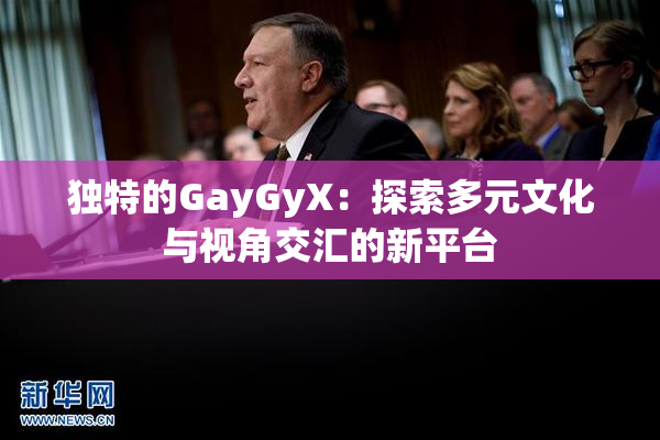 独特的GayGyX：探索多元文化与视角交汇的新平台