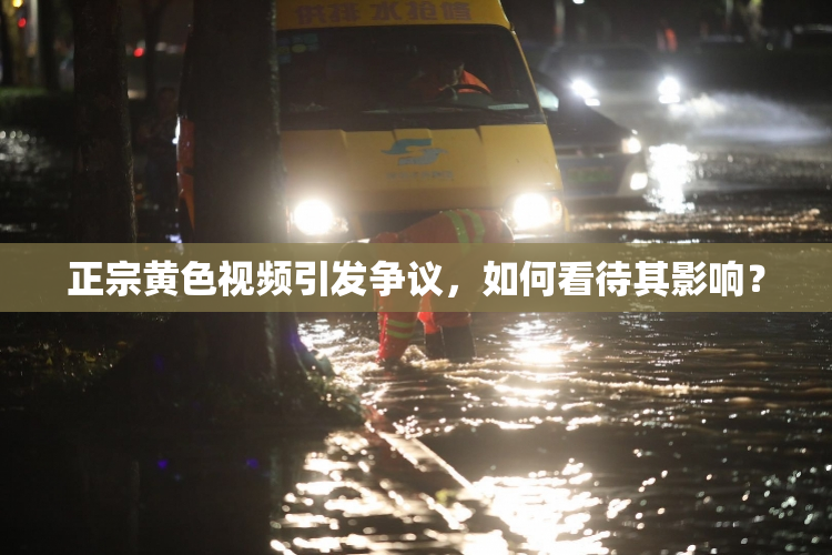 正宗黄色视频引发争议，如何看待其影响？