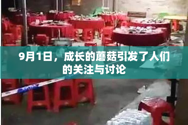 9月1日，成长的蘑菇引发了人们的关注与讨论