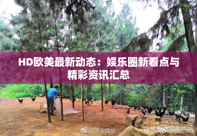 HD欧美最新动态：娱乐圈新看点与精彩资讯汇总