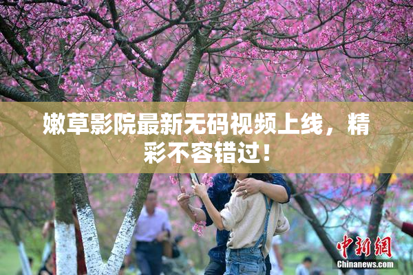 嫩草影院最新无码视频上线，精彩不容错过！