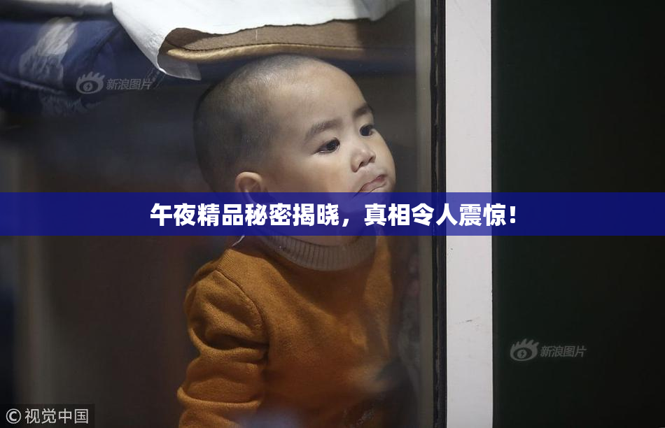 午夜精品秘密揭晓，真相令人震惊！