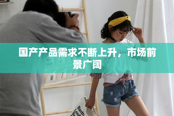 国产产品需求不断上升，市场前景广阔